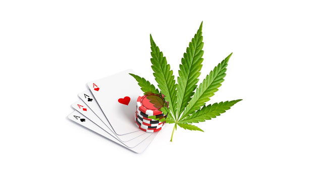 Marijuana et casino !